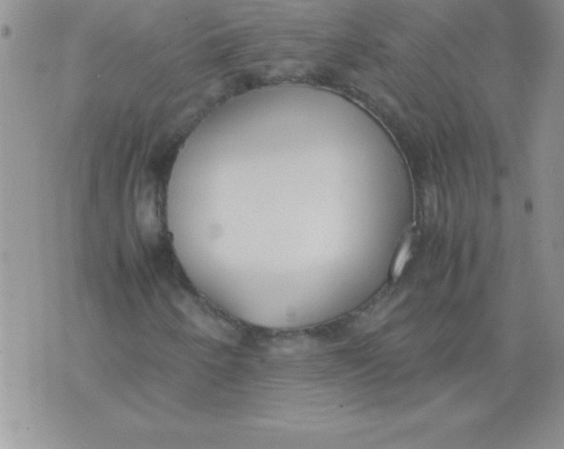 X0000071951250200607281959