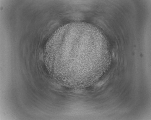 X0000071951251200607281959