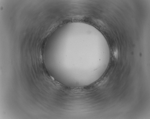 X0000071951252200607281959