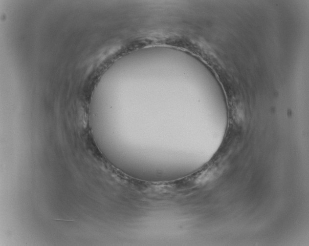 X0000071951253200607281959