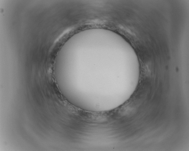 X0000071951254200607281959