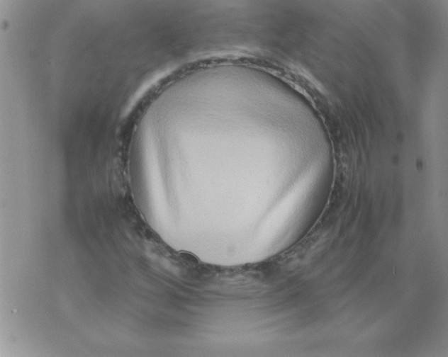 X0000071951256200607281959