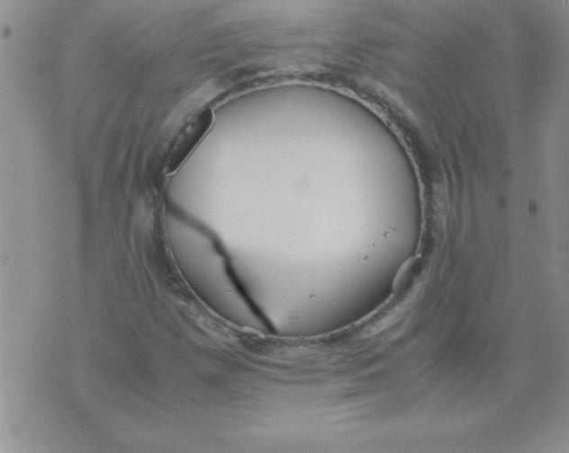 X0000071951257200607281959