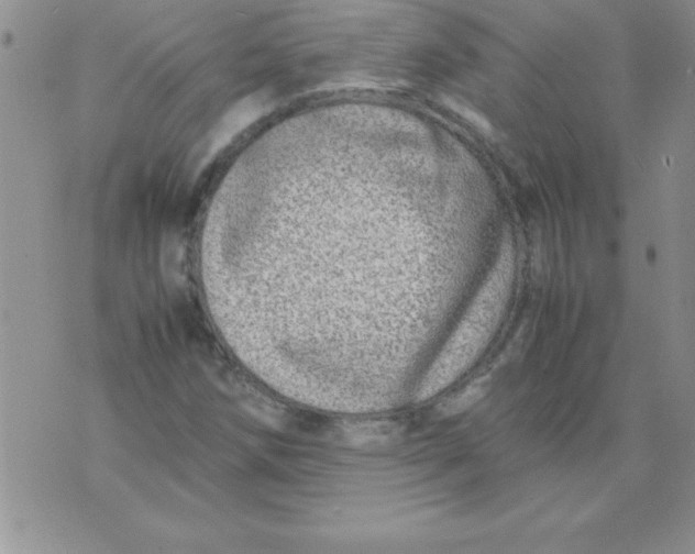 X0000071951258200607281959