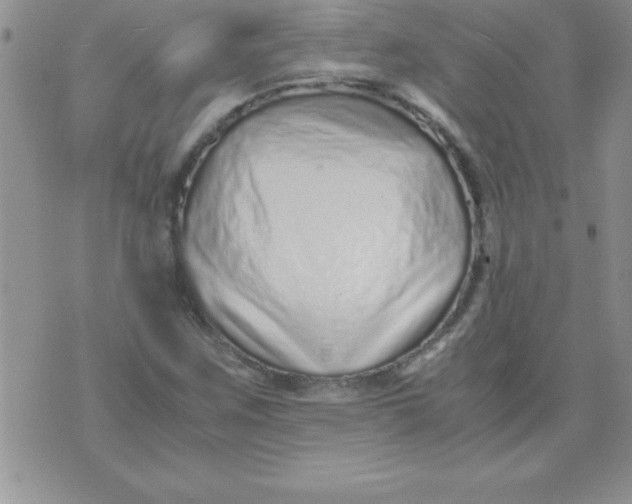 X0000071951259200607281959