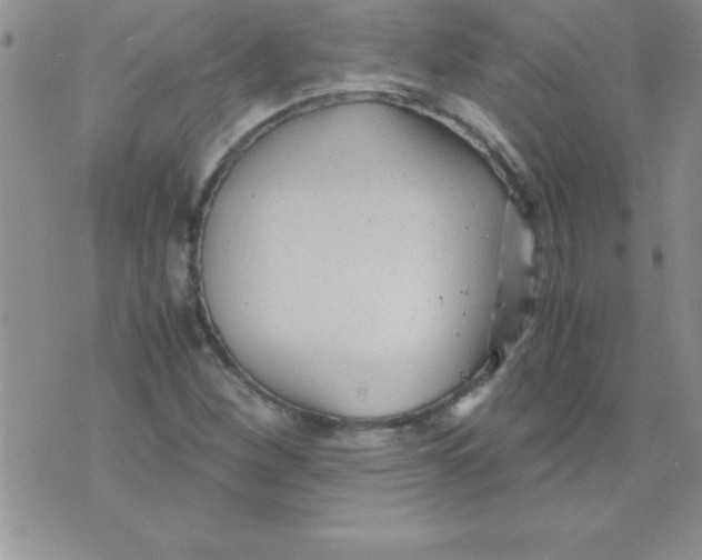 X0000071951260200607281959