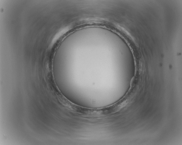 X0000071951261200607281959