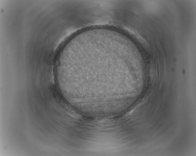 X0000071951262200607281959