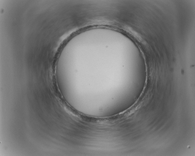 X0000071951264200607281959