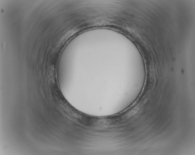 X0000071951265200607281959