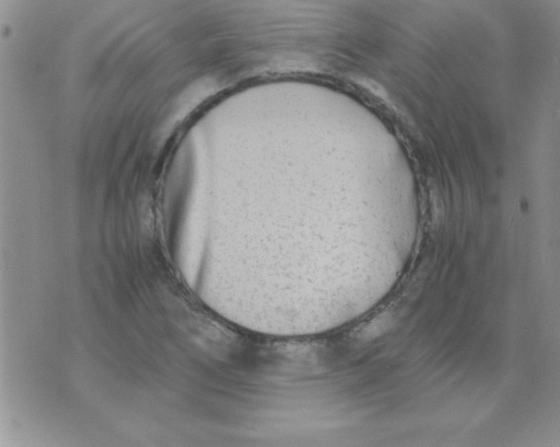 X0000071951266200607281959