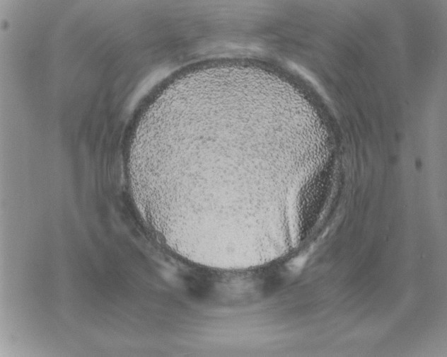 X0000071951267200607281959