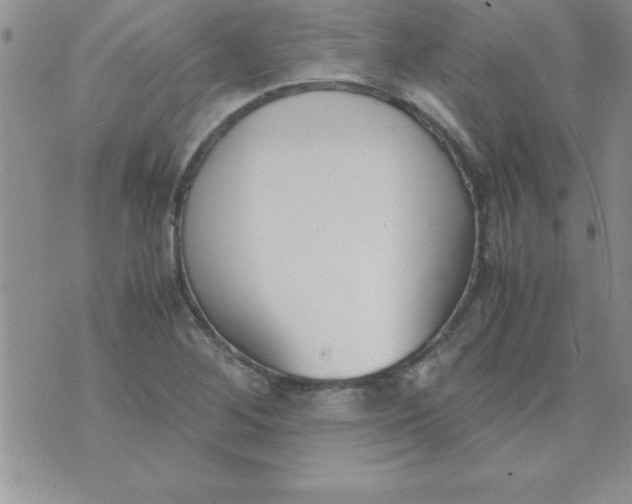 X0000071951268200607281959