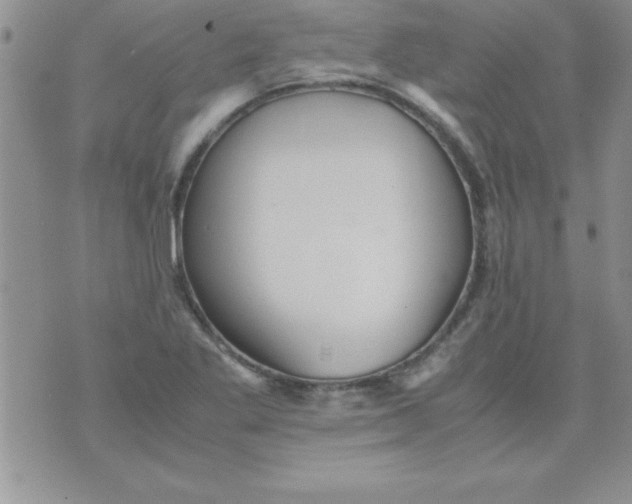 X0000071951269200607281959