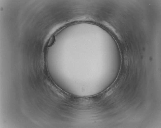 X0000071951270200607281959