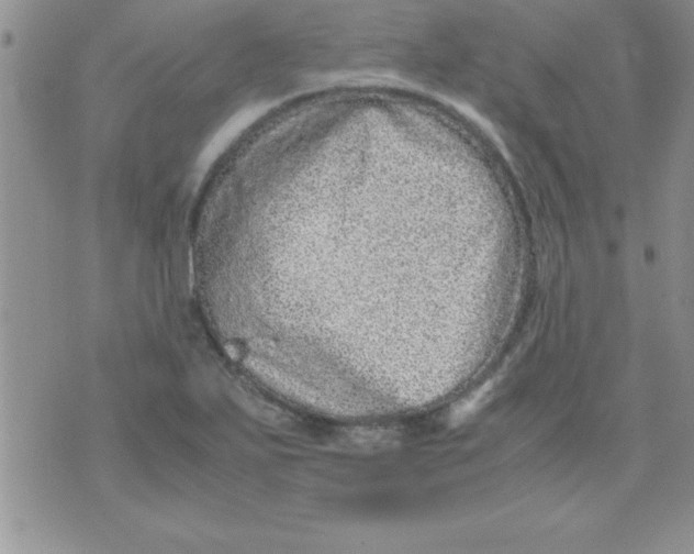 X0000071951271200607281959