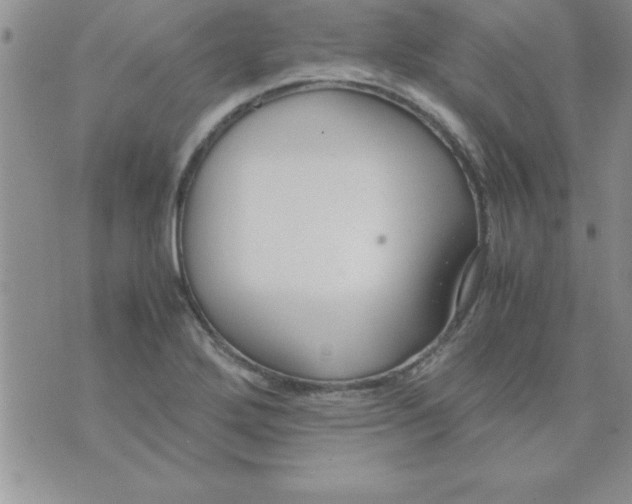 X0000071951272200607281959