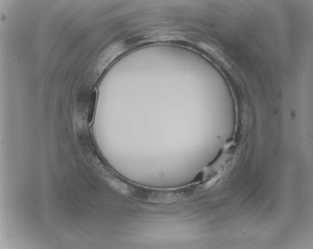 X0000071951273200607281959