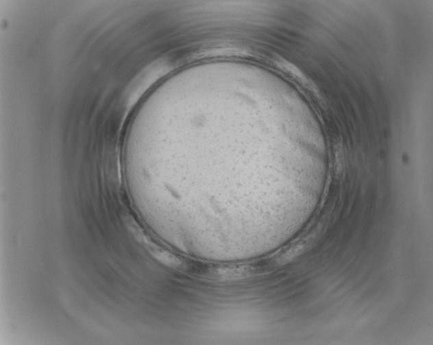 X0000071951274200607281959