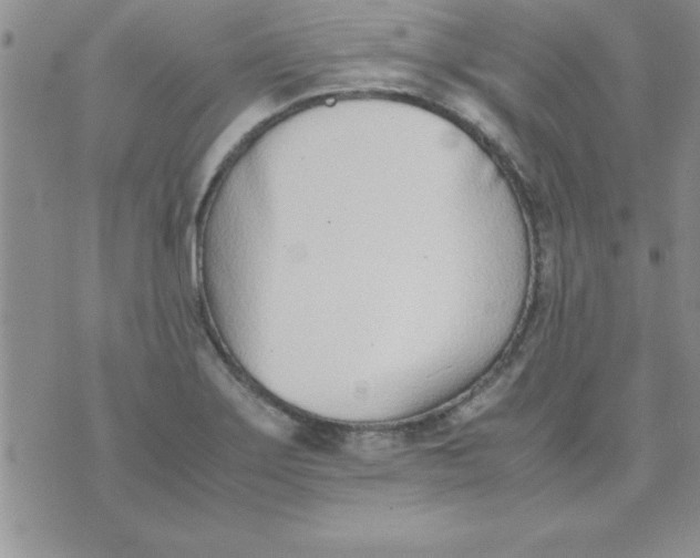 X0000071951275200607281959