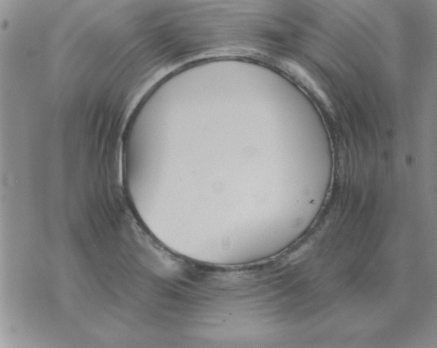 X0000071951276200607281959