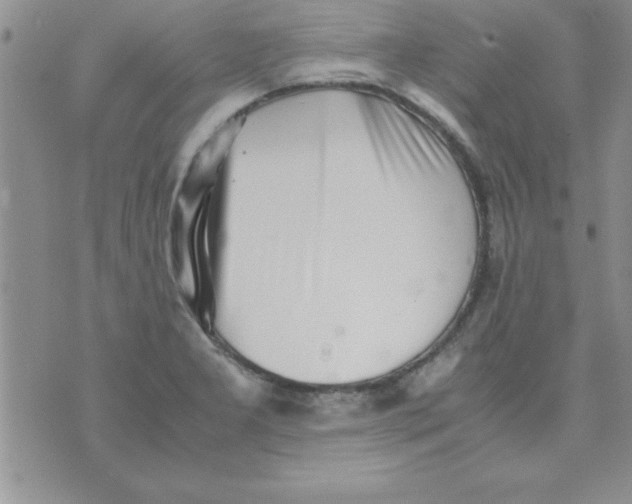 X0000071951277200607281959