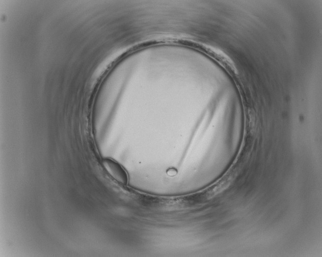 X0000071951279200607281959