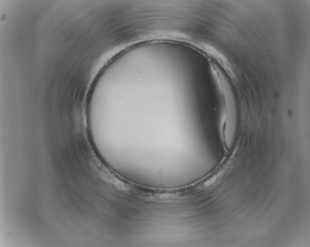 X0000071951280200607281959