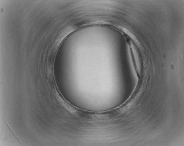 X0000071951281200607281959