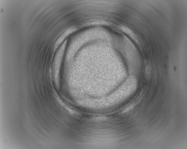 X0000071951282200607281959