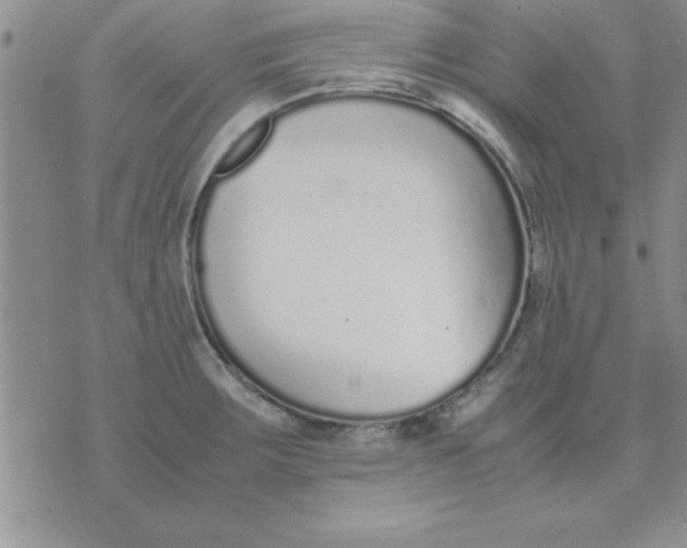 X0000071951283200607281959