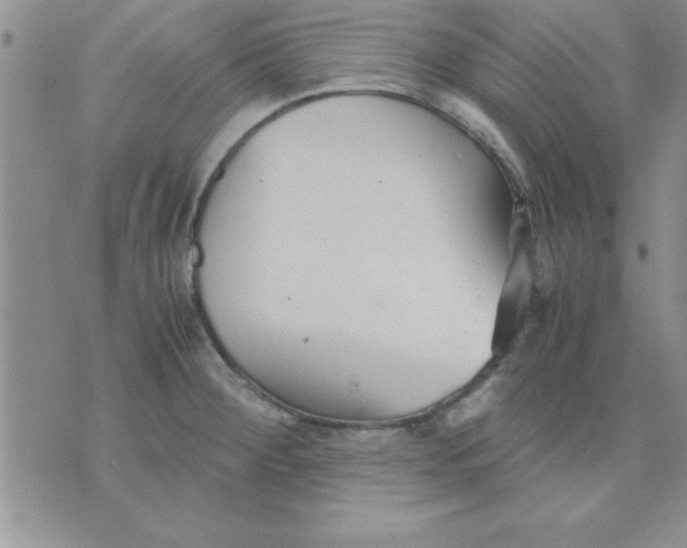 X0000071951284200607281959