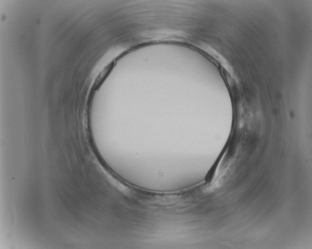 X0000071951285200607281959