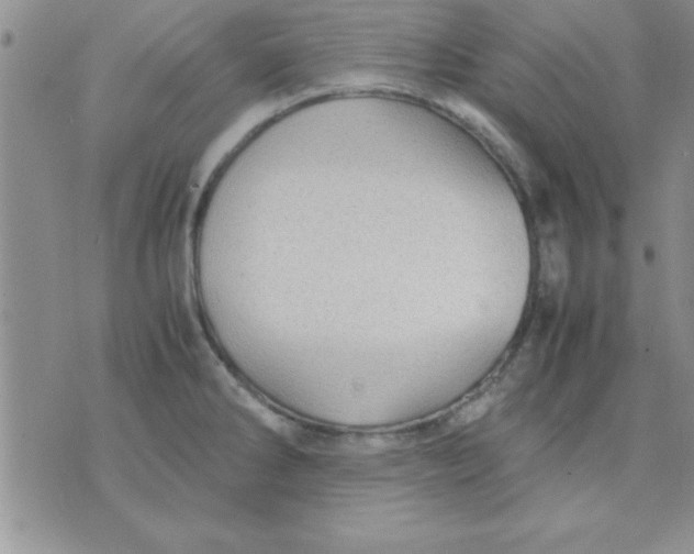 X0000071951286200607281959