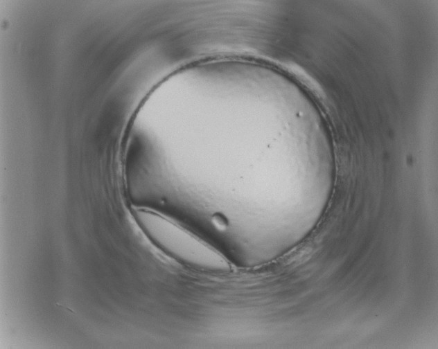 X0000071951287200607281959