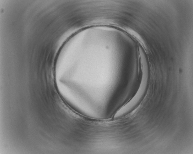 X0000071951288200607281959