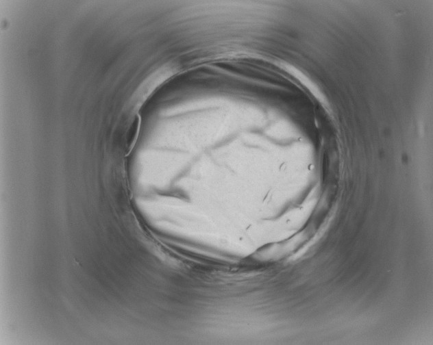 X0000071951289200607281959