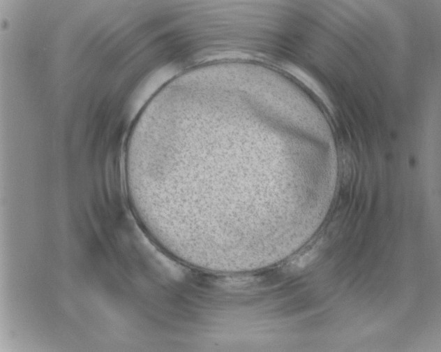 X0000071951290200607281959