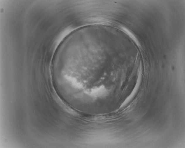 X0000071951291200607281959