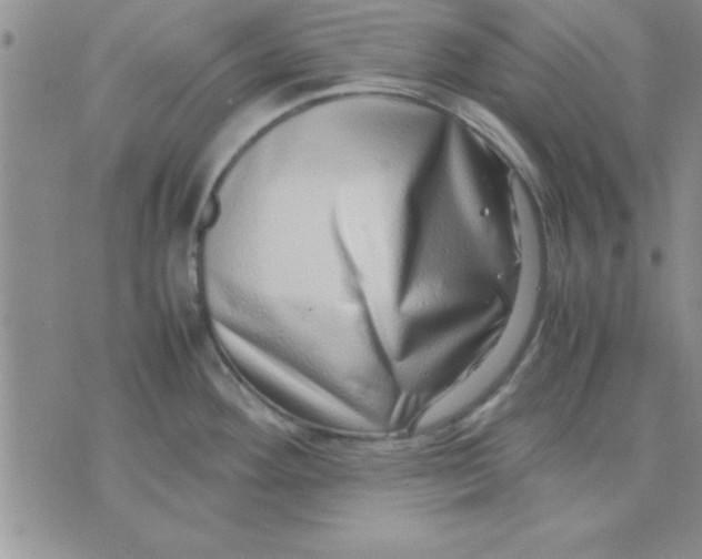 X0000071951292200607281959