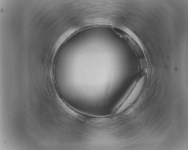 X0000071951293200607281959