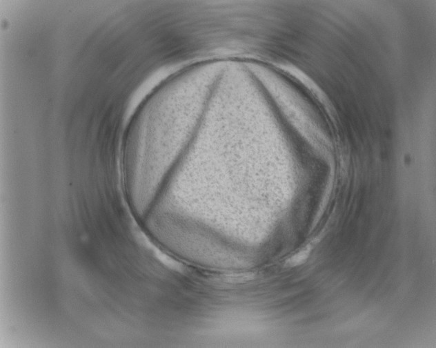 X0000071951294200607281959