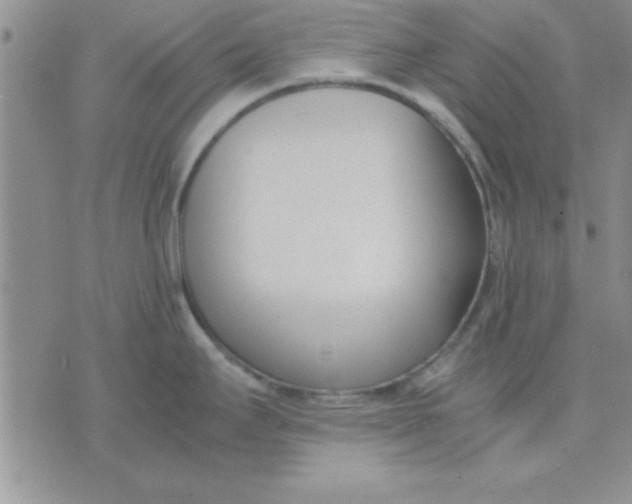 X0000071951295200607281959