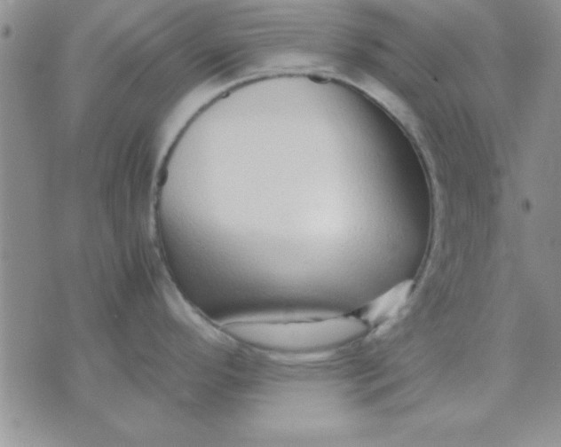 X0000071951296200607281959