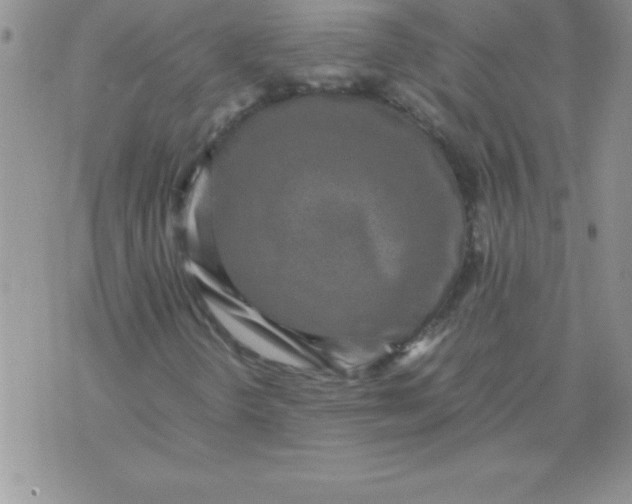 X0000071951298200607281958