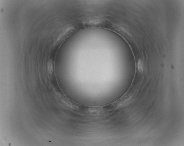 X0000071951299200607281958