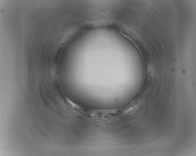 X0000071951300200607281958