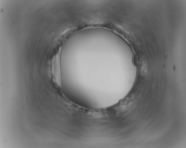 X0000071951301200607281958