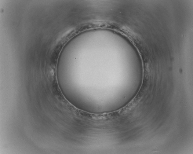 X0000071951302200607281958