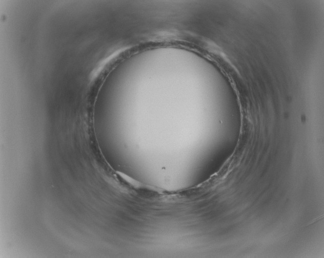 X0000071951304200607281958